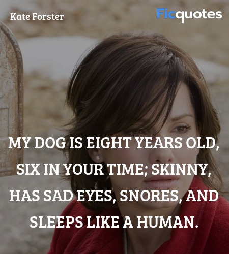  My dog is eight years old, six in your time; skinny, has sad eyes, snores, and sleeps like a human. image