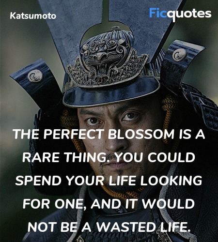 The perfect blossom is a rare thing. You could ... quote image