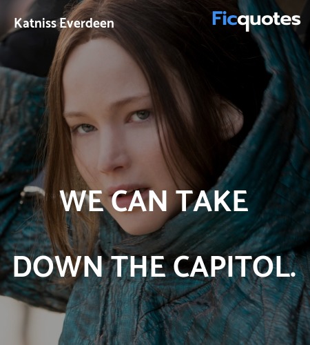We can take down the Capitol. image