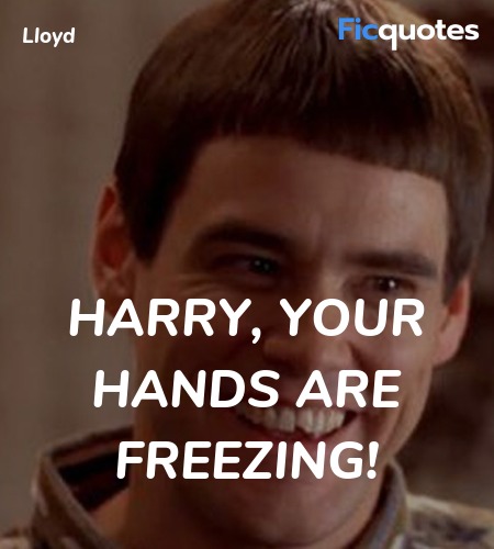 Harry, your hands are freezing quote image