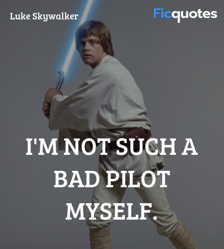 I'm not such a bad pilot myself quote image