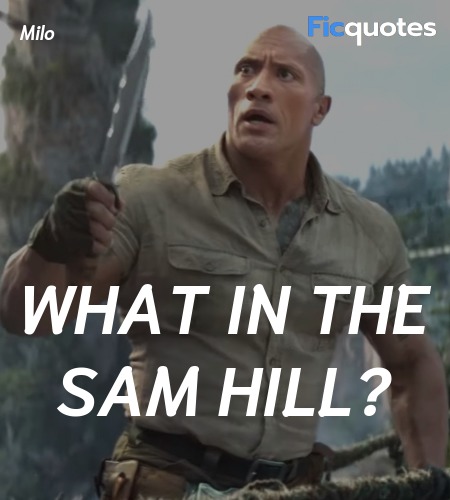What in the Sam Hill? image