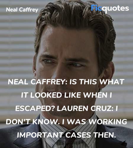 Neal Caffrey:  Is this what it looked like when I escaped?
Lauren Cruz: I don't know. I was working important cases then. image
