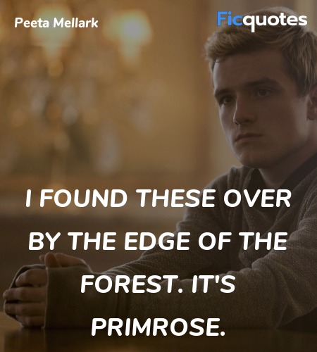  I found these over by the edge of the forest. It'... quote image