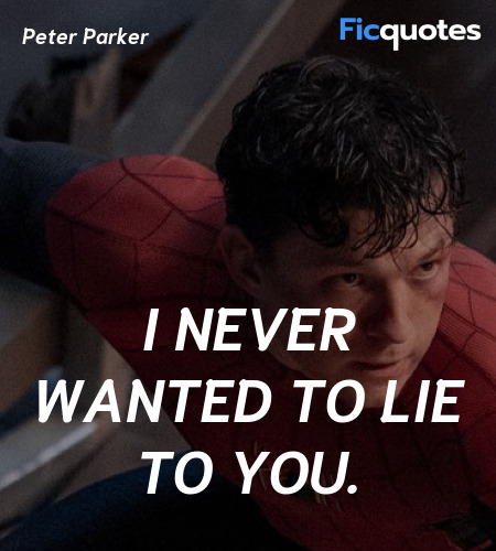 I never wanted to lie to you quote image