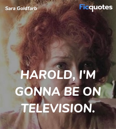 Harold, I'm gonna be on television. image