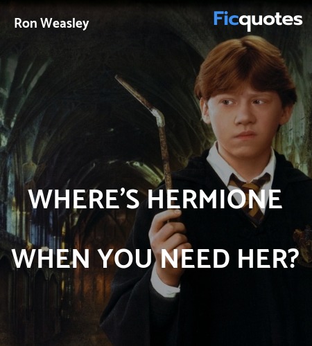 Where's Hermione when you need her quote image