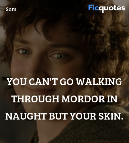 You can't go walking through Mordor in naught but ... quote image
