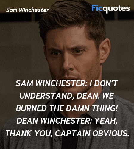 Sam Winchester: I don't understand, Dean. We burned the damn thing!
Dean Winchester: Yeah, thank you, Captain Obvious. image
