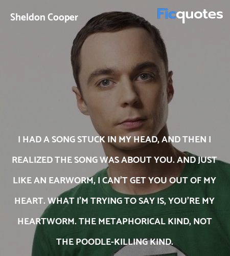 I Had A Song Stuck In My Head And Then I The Big Bang Theory Quotes