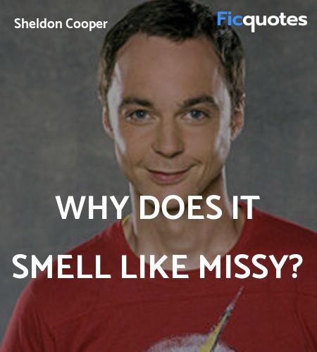 Why does it smell like Missy quote image