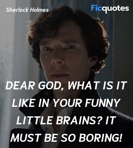 Dear God, what is it like in your funny little brains? It must be so boring! image