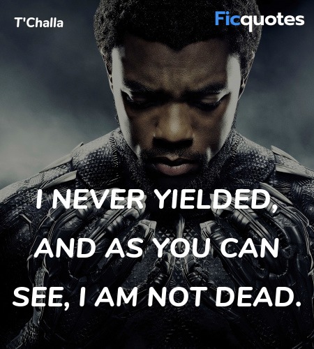 Black Panther Quotes Top Black Panther Movie Quotes