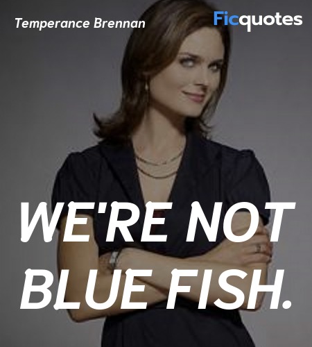 We're not blue fish. image