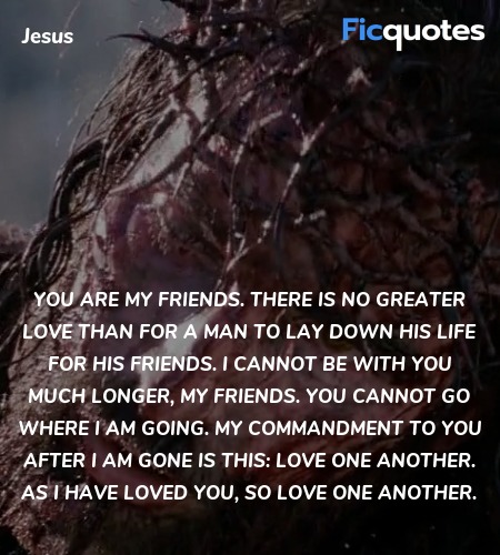 You are My friends. There is no greater love than ... quote image