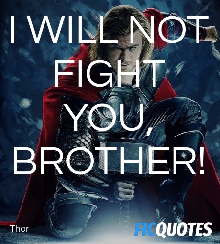 I will not fight you, brother quote image