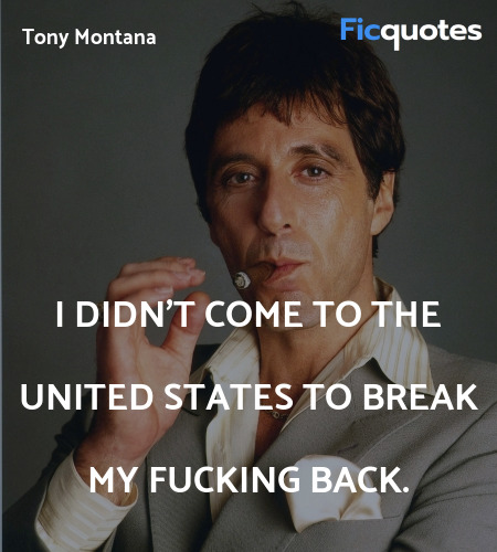 I didn't come to the United States to break my fucking back. image