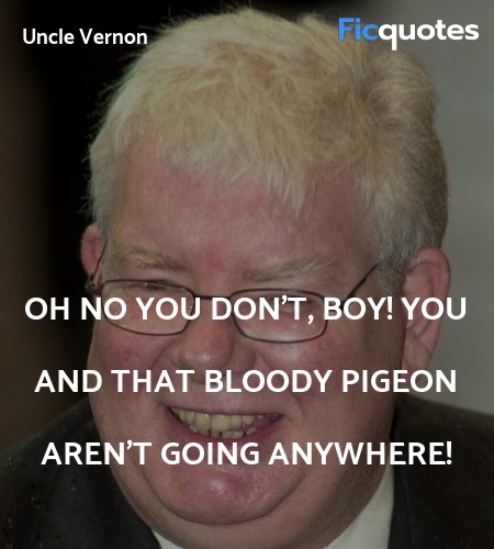  Oh no you don't, boy! You and that bloody pigeon ... quote image
