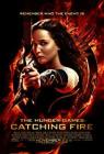 The Hunger Games: Catching Fire (2013)  image