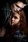 Twilight (2008)  image